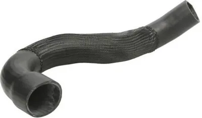 Immagine prodotto di Tubo flessibile dell'aria di sovralimentazione THERMOTEC DCA024TT