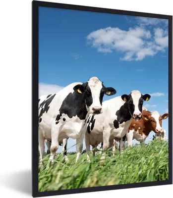 Produktbild von MuchoWow® Gerahmtes Poster Kühe - Landleben - Weide - Natur - Tiere 60x80 cm - Poster mit Schwarzem Bilderrahmen Wandposter Rahmen Foto Bilder - Premium - Wanddeko Wohnzimmer