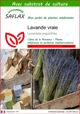Image de SAFLAX - Lavande vraie - 150 graines - Avec substrat - Lavandula