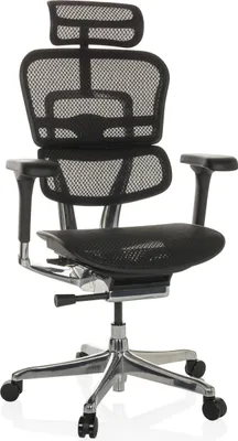 Produktbild von hjh OFFICE Luxus Chefsessel ERGOHUMAN GEN2 Ergonomischer Bürostuhl mit Armlehnen (höhenverstellbar) Netzstoff Drehstuhl für Büro, Zuhause