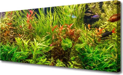 Produktbild von Tulup Leinwand-Bilder 125x50 Wandbild Canvas Kunstdruck Blattpflanzen Pflanzen