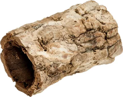 Produktbild von Korkeiche 'Mini', Länge ca. 10 cm, Durchmesser 5 bis 9 cm | Korkröhre