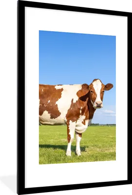 Produktbild von MuchoWow® Gerahmtes Poster Kühe - Bauernhof - Gras - Natur - Tiere 60x90 cm - Poster mit Schwarzem Bilderrahmen Wandposter Rahmen Foto Bilder - Dekoration - Wandposter Wohnzimmer - Hochwertig