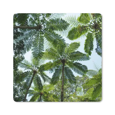 Produktbild von MuchoWow® Mauspad Mousepad Bäume und Blätter im Dschungel 30x30 cm - Mousepads - Maus Mat - Pad - Mausunterlage - Gaming