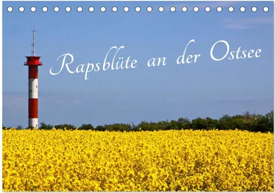 Produktbild von Rapsblüte an der Ostsee (Tischkalender 2025 DIN A5 quer), CALVENDO Monatskalender