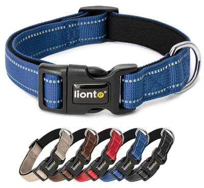 Produktbild von lionto Hundehalsband, 360° Reflektierend, Gepolstert, Größe L, Blau