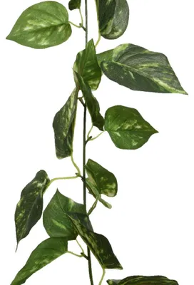 Produktbild von Girlande Kunstpflanze Kunstblume Polyester grün Höhe 180 cm