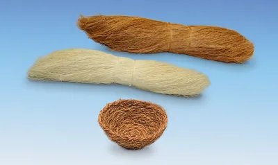 Produktbild von Nobby Nesteinleger  Cocos 10 cm