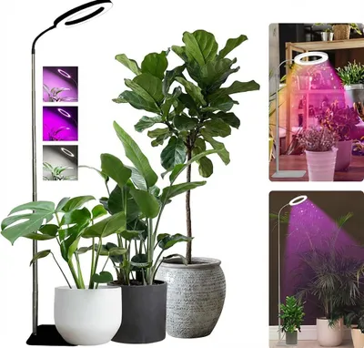 Zdjęcie produktu dla 72Leds Lampa do uprawy o regulowanej wysokości 22-155 cm, lampa roślinna LED o pełnym spektrum dla dużych roślin kwitnących w pomieszczeniach, 3 tryby, timer, 10 jasności