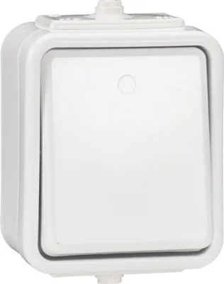 Image de Interrupteur individuel en saillie, hermétique, blanc, IP44, CEDAR WNT100C01 Schneider