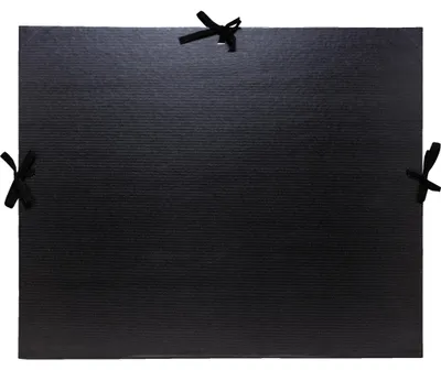 Image de Exacompta 5x Carton à dessin kraft noir vernis 32x45 cm A3 Noir 25738E
