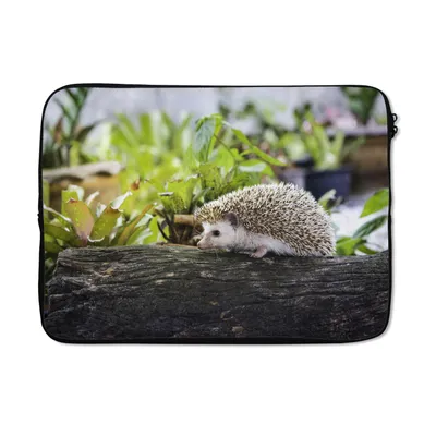 Produktbild von MuchoWow® Laptop Hülle 13 Zoll Igel läuft auf Baumstumpf Laptoptasche - Laptophülle - Sleeve - Rundumschutz