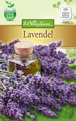 Produktbild von Lavendel | Lavendelsamen von N.L. Chrestensen
