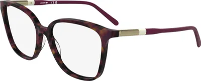 Produktbild von Lacoste L2985 Havana purple 55/16/140 Damen Brillen