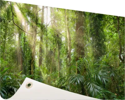 Produktbild von Gartenposter - 120x80 cm - Licht im Wald  - Modernes Wandbilder - Natur