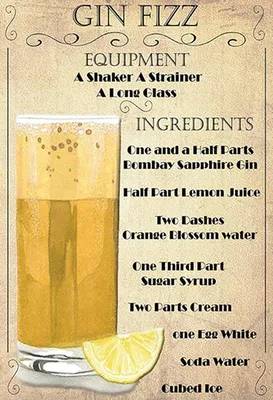 Produktbild von vianmo Holzschild 18x12 cm Gin Fizz Equipment ingredients