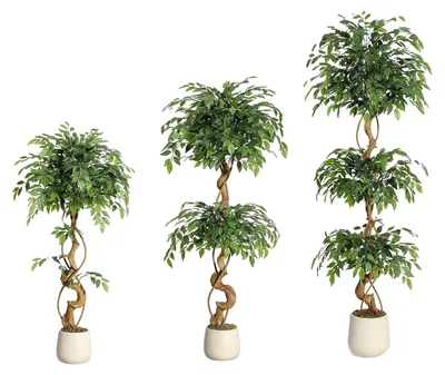 Image de Ficus artificiel, plante en soie artificielle réaliste, plante d'intérieur décorative, vert, 120 cm