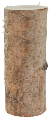 Image de Troncs de bouleau pour bricolage Déco en 12 x 30 cm