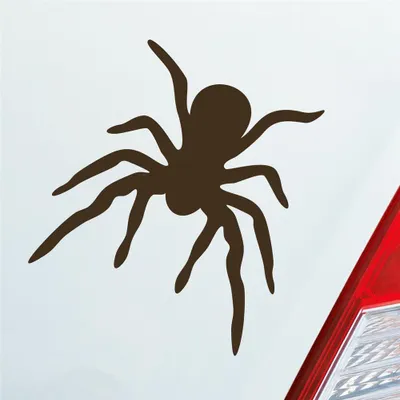 Produktbild von Auto Aufkleber Spinne Spider giftig Tier Ekel 10x10,5 cm Braun Sticker Heckscheibenaufkleber