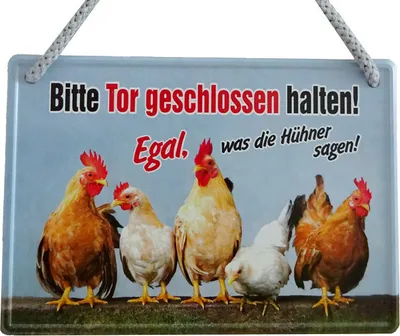 Produktbild von Lustiges Hängeschild Tor geschlossen halten, egal was die Hühner sagen - Blechschild