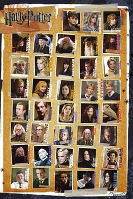 Immagine prodotto di Harry Potter - Poster - 7 - Personaggi