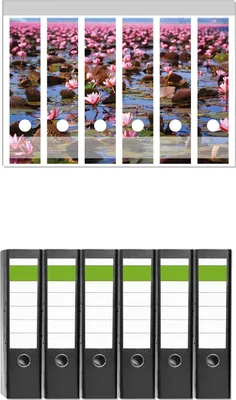 Produktbild von Wallario 6 Stück breite Ordner inkl. Klebeetiketten mit Motive Seerosenlandschaft mit rosa Blüten -  Set mit Rückenschildern / Ordnerrücken Stickern