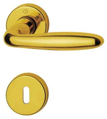 A product shot of a gold-colored door handle and a keyhole escutcheon on a white background.