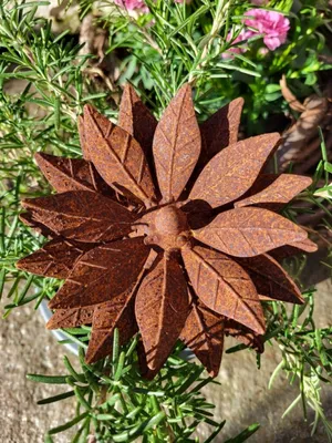 Immagine prodotto di Edelrost Blume Claire