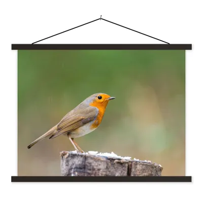 Produktbild von MuchoWow® Textilposter Tiere - Vogel - Rotkehlchen 40x30 cm mit schwarzem Rahmen - Dekorationen