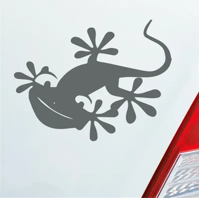 Produktbild von Auto Aufkleber Salamander Gecko Echse Agame Süß Tuning 13x10 cm Grau Sticker Heckscheibenaufkleber