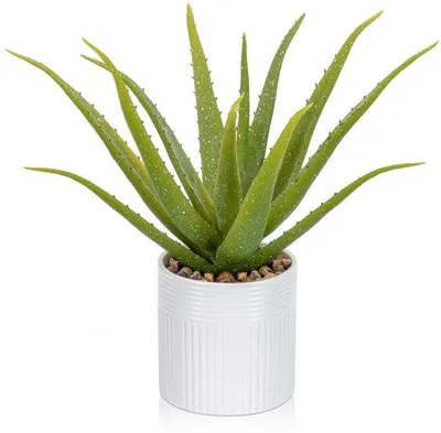 Immagine prodotto di Decorazione artistica: pianta di aloe vera in vaso di Vetroceramica