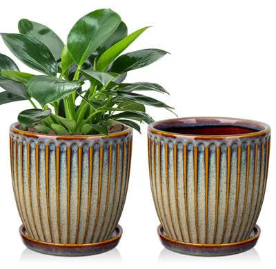 Image de Ensemble de 2 pots en céramique décoratifs avec soucoupe