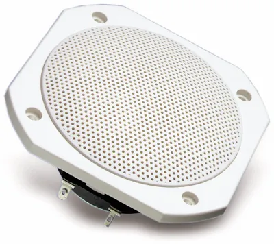 Produktbild von Visaton VS-FRS10WP/4W, 25 W, 50 W, 4 Ohm, 90 - 19000 Hz, Weiß, 115 mm