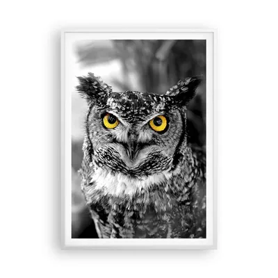 Produktbild von Gerahmtes Poster - Weißer Rahmen - Eule Vogel Natur - 70x100 cm - Wand Bild - Wanddeko - Wandbilder - Kunstposter - Wandposter - Bilderrahmen - Bilder - Kunstdruck - Wandbild - P2WPA70x100-1318