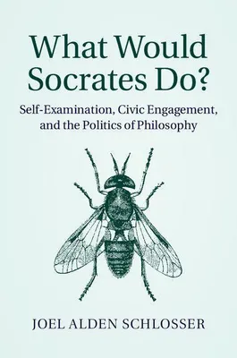 Produktbild von What Would Socrates Do?