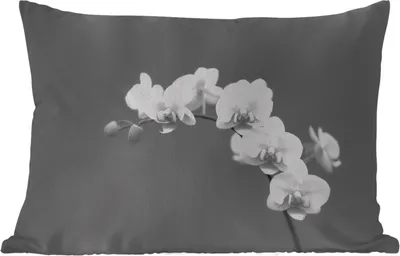 Produktbild von MuchoWow® Outdoor Kissen - Orchidee - Blumen - Pflanze - Weiß - Lila - 50x30 cm - Wetterfest - Lounge Kissen - Sofa kissen - Wohnzimmer Dekoration