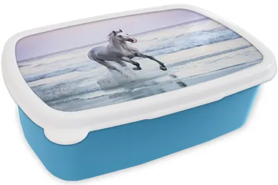 Produktbild von KitchenYeah® Lunchbox Brotzeit Brotdose 17x11 cm Pferde - Luft - Meer Kinder Brotzeitdose - Lunch - Kunststoff  - Brotbüchse - Sandwichbox - Lunchbox für Kinder