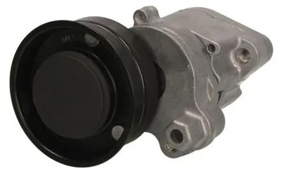 Produktbild von BTA B05-01-023 Riemenspanner Keilrippenriemen für DAF 95 XF