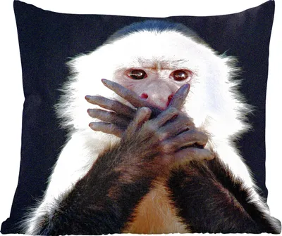 Produktbild von MuchoWow® Zierkissen Sofakissen Wohnzimmer Dekokissen 60x60 cm Affe - Wilde Tiere - Porträt - Sitzfläche - Foto Polster