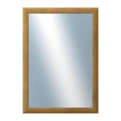 Obrázok produktu pre DANTIK - Zrkadlo v ráme - rozmery s rámom cca 50x70 cm z pásu LEDVINKA hnedá (1441)