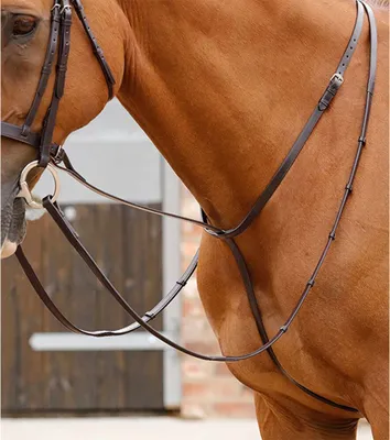 Zdjęcie produktu dla Premier Equine Gressan Standing Martingal Braun Cob Braun Cob