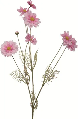 Produktbild von Fink COSMOS, Kunstblume, Kunstfasern, rose, L. 1 cm, B. 15 cm, H. 92 cm Höhe: 92.00 cm Breite: 15.00 cm Tiefe: 0.50cm 181013