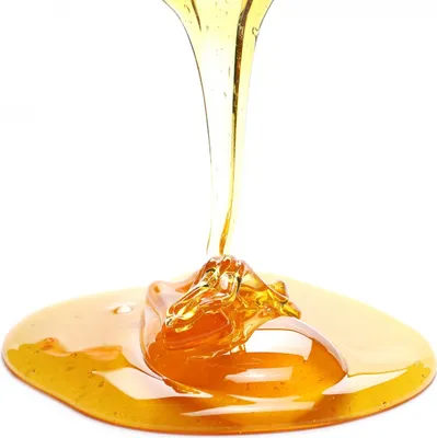 Obrázek produktu pro Tapiokový sirup BIO DE69 5 kg LES FRUITS DU PARADIS