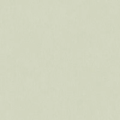 Obrázek produktu pro A.S. Creation | Art of Eden | 377033 | Vliestapete | Einfarbig | 10,05 m x 0,53 m | Grün