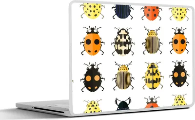 Produktbild von MuchoWow® Laptop Aufkleber Sticker Cover Käfer - Insekten - Gestaltung 25x18 cm - Laptop-Deko