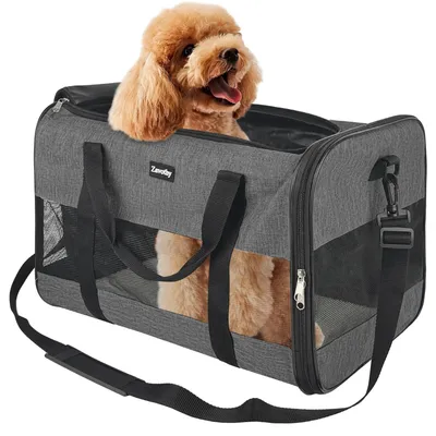 Immagine prodotto di Borsa per il trasporto di animali domestici con design traspirante e tappetino removibile