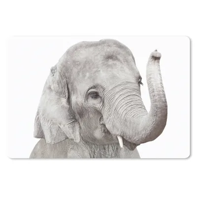 Produktbild von MuchoWow® Schreibtischunterlage Elefant - Tiere - Grau - Natur 60x40 cm - XXL Mauspad - Großes Mauspad