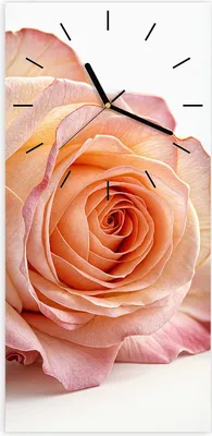 Produktbild von Wanduhr aus Glas mit Motiv Elegante Rose Blüte- 30 x 60 cm - inkl. Aufhängesystem