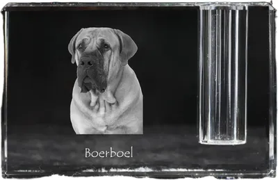 Produktbild von Stifthalter aus durchsichtigem Kristallglas mit Boerboel Design, 11x7x4 cm