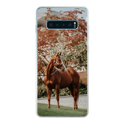 Produktbild von MuchoWow® Handyhülle Schutzhülle Hülle für Samsung Galaxy S10 Lite Pferd - Baum - Halfter Silikon Softcase Handy Hülle - Schutz